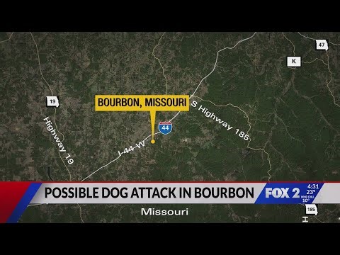 Suspected fatal dog attack in rural Missouri; MSHP investigating