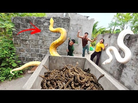 Two brave soldiers risked their venturing into the lair of a giant python to rescue a beautiful girl