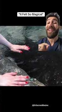 Would You Stroke a Stingray? Doctor Explains