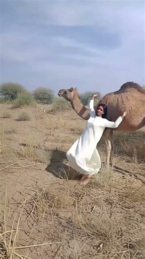 Thari Woman Falls From Decorated Camel | Real Desert Moment 😮🐪