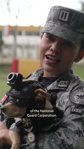 Meet the tiniest member of Mexico's National Guard