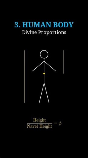 The Golden Ratio: Nature's Secret Number