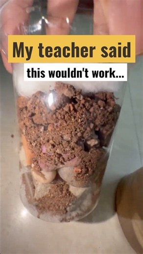 My teacher said this wouldn't work... #scienceexperiments #diyscience #kidsscience #shorts