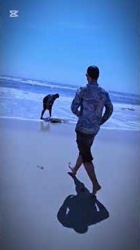 Fishing sharks and cooking on the beach #survival #fishing #shark #sharkfinning #outdoors #foryou