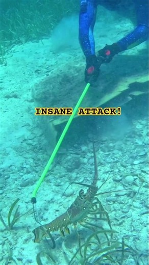 Monster Lobster EXPLODED Out of the Crevice! 🦞😱