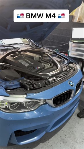 Solución a los problemas de BMW M4 en Panamá