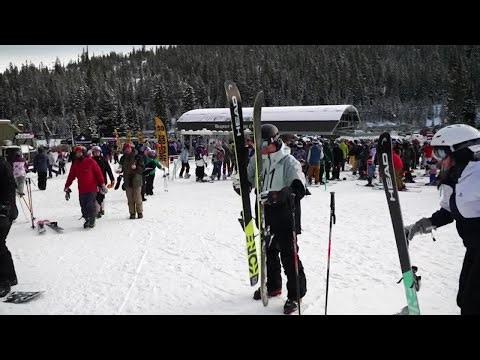 The latest economic impacts for Colorado's ski areas
