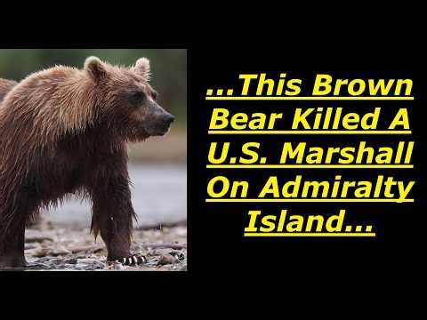 Scary Bear Attacks: Grizzly Bear Kills U.S. Marshal on Admiralty Island