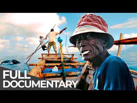 Harpooning for Survival | Lamalera: Indonesia's Last Whaling Culture | Free Documentary