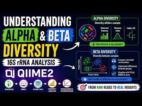 Understanding Alpha & Beta Diversity | 16S rRNA QIIME2 Analysis (Urdu/Hindi) 🦠📊