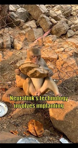 Elon Musk's Neuralink: Merging Humans with AI