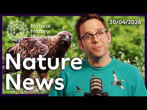 Golden eagles to alien microbes | Nature news you need to know