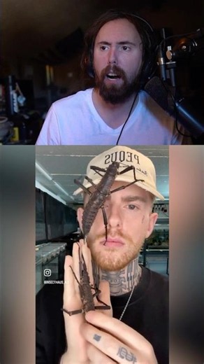 This Is Crazy