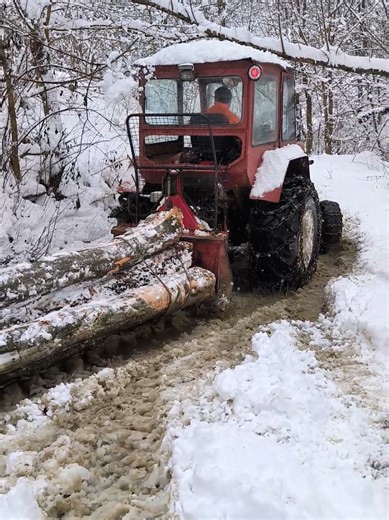 Exploring Husqvarna 257 and U651: A Powerful Duo