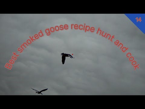 Best smoked goose hunt and cook
