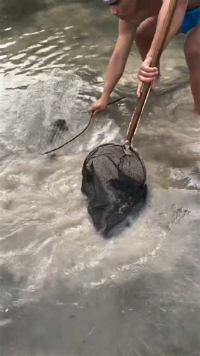 AMAZING! 🦀 No Market, Just Us and These Giant Crabs! #viral #rivercrab #fishing #landcrab