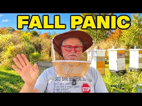 Beekeeping | Beekeepers Are Making These BIG Mistakes Right Now!