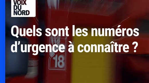 SAMU, police, pompiers... Quels sont les numéros d'urgence à connaître ?