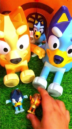 Bluey Family Toys | Bluey, Bingo, Chilli Heeler, Bandit Heeler #toys #bluey #blueybingo #asmr