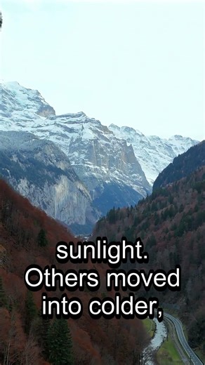 The Human Migration Story