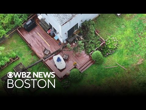 Plymouth woman killed by falling tree during summer storm