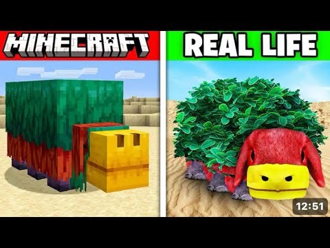 Minecraft Mobs In Real Life!