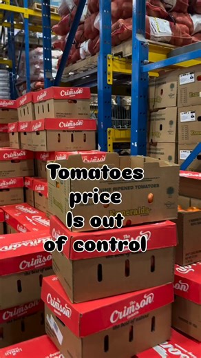 🚨🇺🇸大手食品スーパーは、BlackRockとVanguardなどが株主のSysco Foodsが買収した途端にトマト🍅の価格が一気に2.5倍に根上がり。この時代の食糧難のつくり方。賢くなろう。洞察力も1日にしてならず。・イスラエル🇮🇱とアメリカ🇺🇸が仕掛けたホルムズ海峡封鎖による肥料不足、石油不足・テキサス、メキシコ、ロシア、パキスタン、オーストラリア、ルーマニアなど世界各国の製油所の短期間で集中的な爆発や火災・農家/酪農家への財政圧迫と生産量調整・BlackRockやVanguardなど巨大シャドウバンクの食品販売大手や大規模慣行農業企業の買収