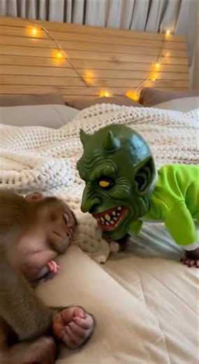 Baby Monkey Uses Goblin Mask Prank to Wake Up Mom 😂💀 | Absolute Funny Chaos #funny #monkey #shorts
