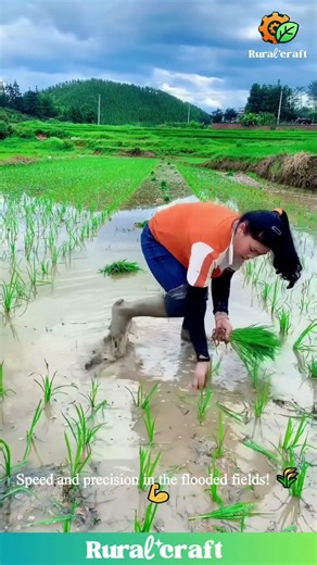 This is NOT a Video Game, it's REAL LIFE Hard Work! 🌾 Watch These Farmers' Insane Planting Speed!