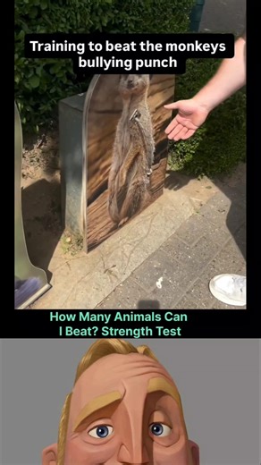 Ultimate Strength Test: Animal Power Challenge #shorts #ytshorts #facts #wildlife #explore