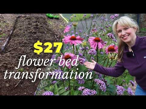 Planting a Wild Flower Bed in my Cottage Garden