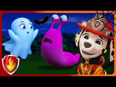 👻🐌 Little Ghost and the Scared Slug 🐌👻 | Marshall PAW Patrol | Halloween Cartoons for Kids