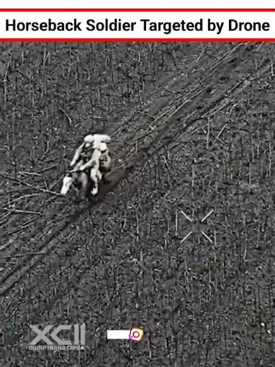Horseback Soldier Targeted by Drone #shorts