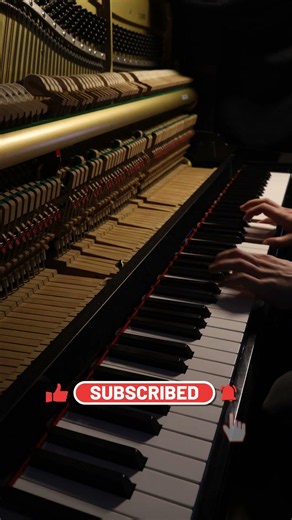 Un poco allegro [Bars 1-8] #piano #classicalmusic #shorts