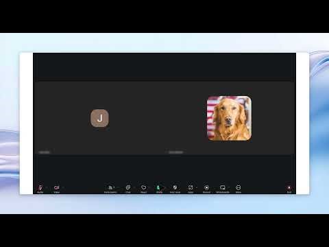 How to Give Remote Control in Zoom - Complete Tutorial 2024