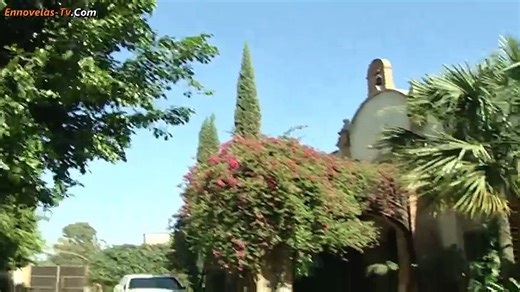 140. Destilando Amor