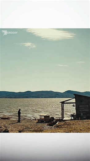 GROOOF on Instagram: "🎬 Blood Quantum ⠀ 🎥 Feature Film • 2019 📺 Horror / Action ⠀ 🎞️ When a zombie outbreak wipes out humanity, a small Indigenous community discovers they are immune to the infection. Survival becomes power. Trust becomes danger. And the real threat may not be the undead. ⠀ Because sometimes… being immune makes you a target. ⠀ 📈 Ratings: IMDB — ⭐ 5.6/10 Rotten Tomatoes — 🍅 89% Metacritic — 🎯 64% ⠀ 🎦 Watch On: Shudder / Prime Video (Region may vary) ⠀ ────────────────────