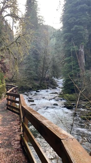 🌊 Sweet Creek Falls in Mapleton, Oregon is about an hour outside Eugene, just off Highway 126. The hike is short and accessible, from the parking lot to some truly beautiful waterfalls. 🥾 The trail can get slippery, and one section was closed when I visited, so good hiking shoes are a must. There’s also no cell service in the area, so be mindful and stay safe. That said, it’s an incredible spot to slow down, recharge, write, or just take it all in. Highly recommended. ⭐️ ⭐️ ⭐️ ⭐️ ⭐️ #travel #e