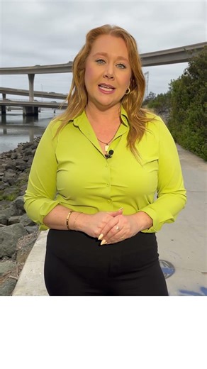 New details on suspected DUI crash that killed married couple