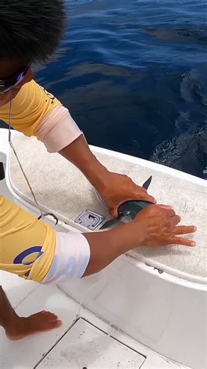 Giant Baits Catch GIANT Fish Every Time!