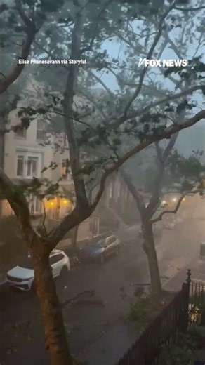Trees fall onto parked cars as storm SLAMS NYC #foxnews #news #us #fox