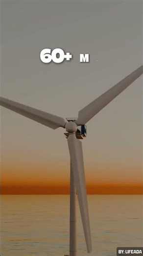 How Wind Turbines Survive Massive Hurricanes?
