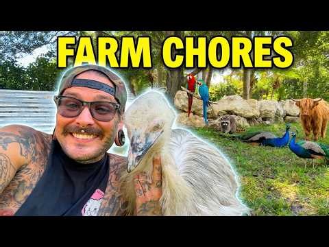 Come get some FARM CHORES done with us!