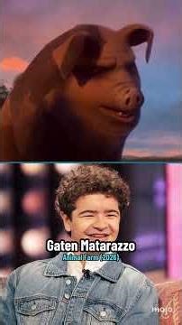 Stranger Things Cast: What's Next?