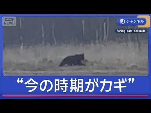 被害防止のカギは春？クマ対策が本格始動【スーパーJチャンネル】(2026年4月1日)