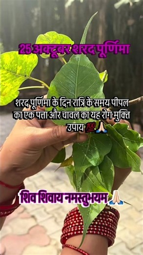🍂☘️पीपल का एक पता उसमे थोड़ीसे चावल पूर्णिमा के दिन 🙏#pradeepmishraji #उपाय #shorts #trending #महादेव