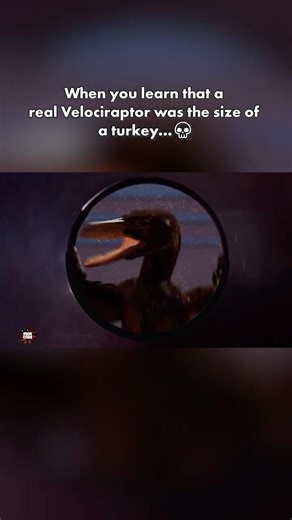 Jurassic Park with an Accurate Velociraptor? #jurassicpark #velociraptor #vfx