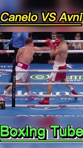 💥 Canelo DESTROYS Avni Yildirim 😳 | 3-Round Domination! 🔥