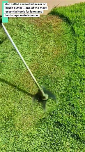 String Trimmer Full Educational Guide: Specs, Pros, Cons & Productivity Impact | TimberCraft Studio