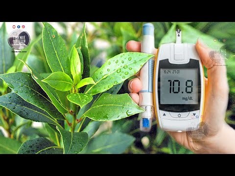 Vetëm 3 gjethe të kësaj bime i japin "lamtumirë" kolles, Diabetit dhe ARTRITIT, ja si ta përdorni